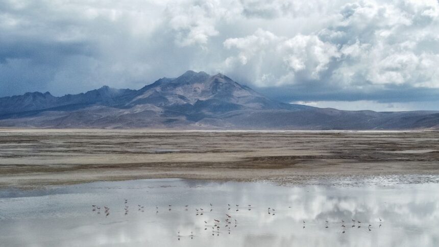 Rechazan segunda propuesta de conciliación de Quiborax en disputa legal por daño ambiental en Salar de Surire