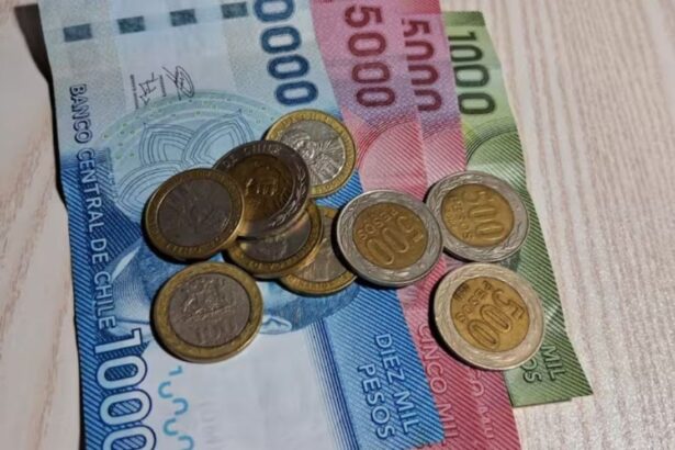 Fondo de Cesantía Solidario: Clave para Superar el Desempleo y sus Requisitos Esenciales