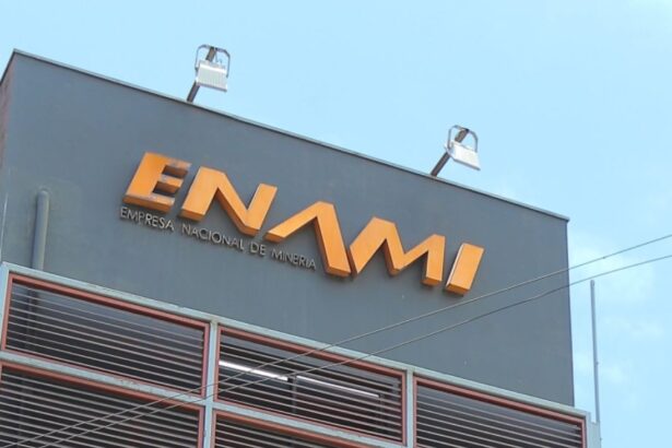 Expertos debaten sobre la reforma del gobierno corporativo de Enami para fortalecer la minería en Chile