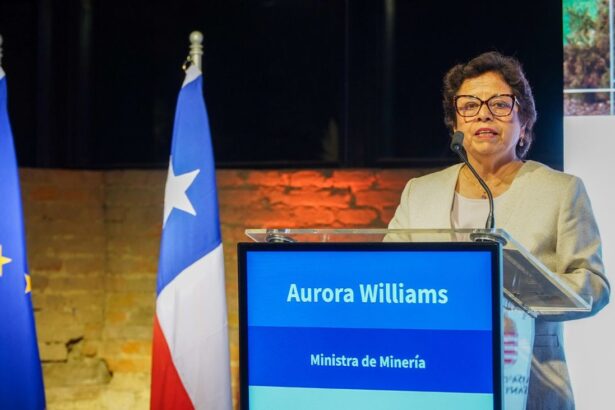 Ministra Aurora Williams lidera en Bruselas la misión chilena para fortalecer la cooperación en minerales críticos hacia el RawMaterials Summit 2025