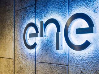 Mónica Hodor de Enel Desafía a la SEC sobre Gestión de Riesgo Arbóreo en Plan Otoño-Invierno 2025