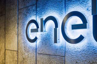 Mónica Hodor de Enel Desafía a la SEC sobre Gestión de Riesgo Arbóreo en Plan Otoño-Invierno 2025