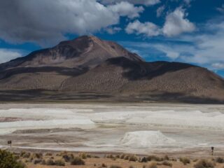 Tribunal Ambiental revisa suspensión de Quiborax en Salar de Surire por daño ambiental: Decisión clave en Arica y Parinacota