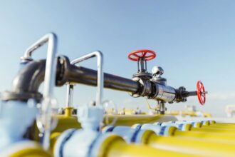 Neuquén Explora Rutas Estratégicas para Exportar Gas de Vaca Muerta a Brasil Ante Creciente Demanda Industrial