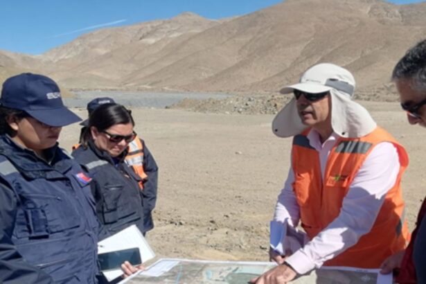 Proyecto de planta en Atacama promete procesar 40 mil toneladas mensuales de minerales, incluyendo cobre, oro y hierro