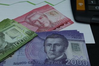 Todo lo que Necesitas Saber sobre el Bono de Protección para Dueñas de Casa: Montos, Elegibilidad y Método de Pago