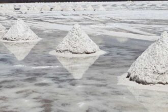 Alianza entre EMP Metals y Saltworks revoluciona la industria con nueva planta de litio en Canadá, proyectando altos rendimientos económicos