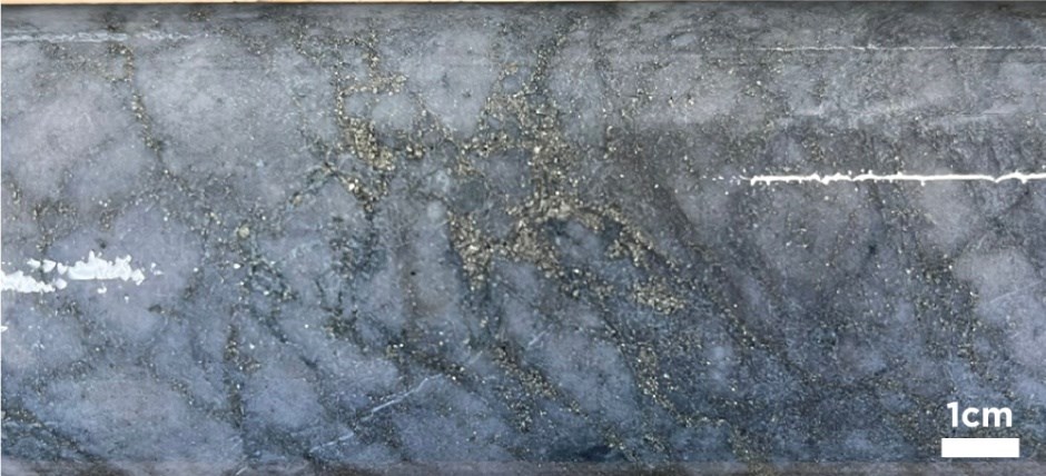 Onyx Gold intercepta 91 metros de 1,8 g/t de oro, incluidos 17 metros de 5,3 g/t de oro en el primer paso en Argus North Discovery, Proyecto Munro-Creesus Onyx Gold intercepta 91 metros de 1,8 g/t de oro, incluidos 17 metros de 5,3 g/t de oro en el primer paso en Argus North Discovery, Proyecto Munro-Creesus