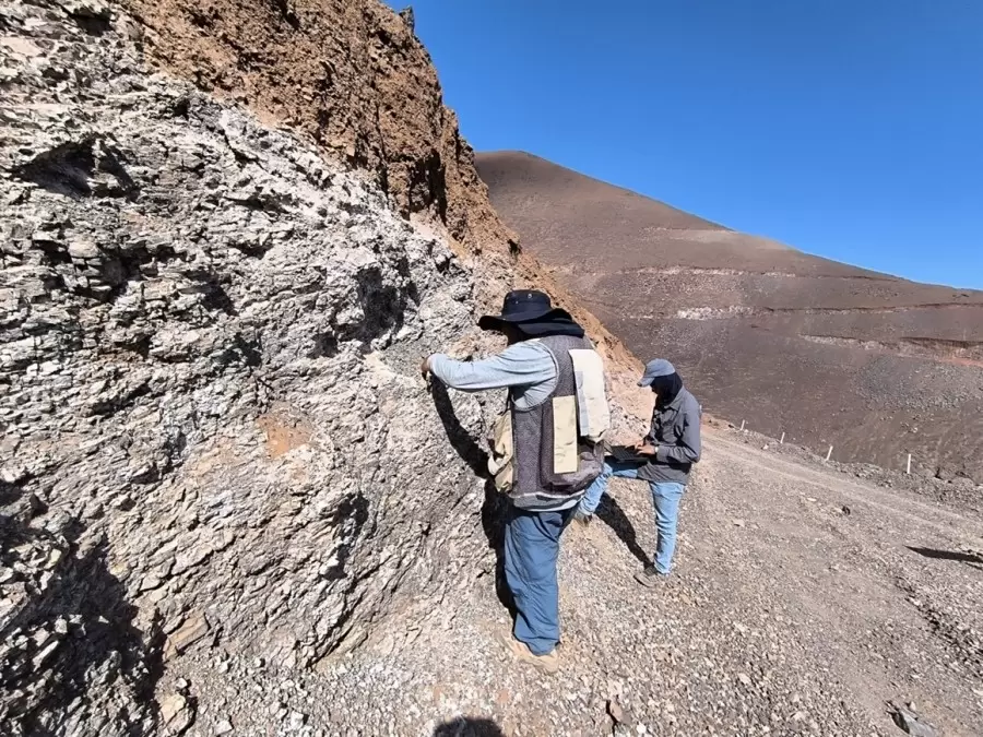 Perú: Nittetsu Mining proporciona $1.5 millones de quinto pago para el proyecto Los Chapitos de Camino Minerals