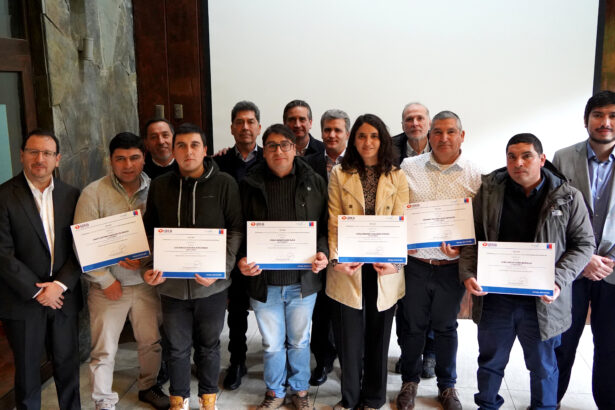 Técnicos de empresas colaboradoras de Metrogas en Los Lagos son certificados como Instaladores de Gas Clase 3  