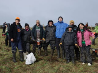 Industria minera se suma al voluntariado regenerativo del bosque nativo chilote