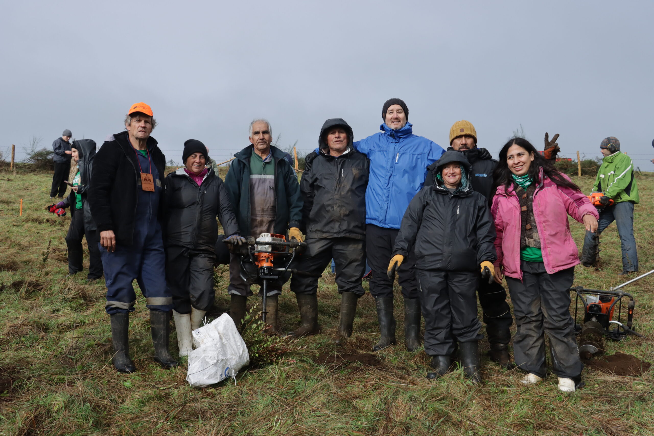 Industria minera se suma al voluntariado regenerativo del bosque nativo chilote