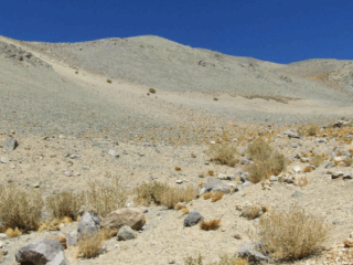 Reclamaciones contra el SEA por proyecto minero: controversia en Chile