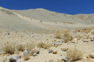 Reclamaciones contra el SEA por proyecto minero: controversia en Chile
