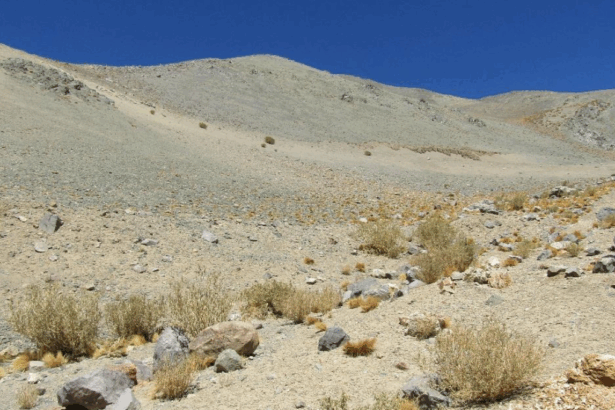 Reclamaciones contra el SEA por proyecto minero: controversia en Chile