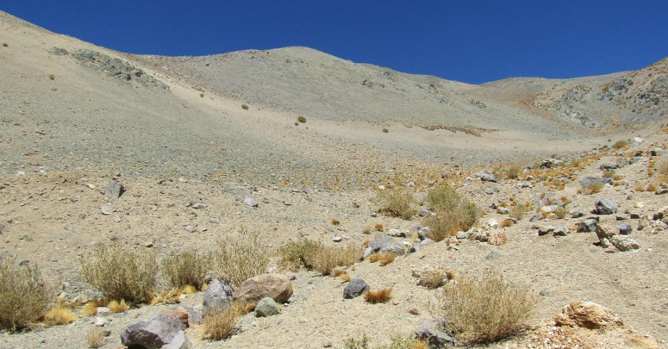Reclamaciones contra el SEA por proyecto minero: controversia en Chile