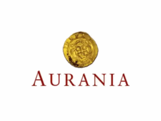 Ecuador: Nuevos datos de inversión revelan seis anomalías en el objetivo Awacha de Aurania