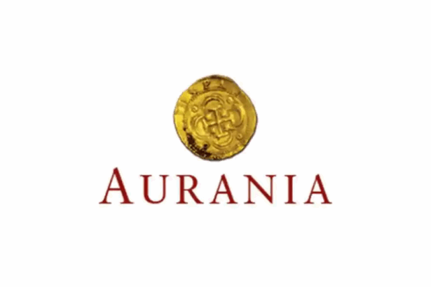 Ecuador: Nuevos datos de inversión revelan seis anomalías en el objetivo Awacha de Aurania