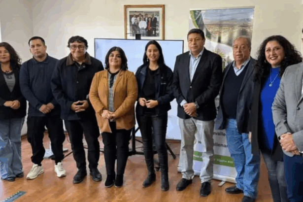 Vallenar avanza en energía solar con nuevo parque comunitario en Domeyko