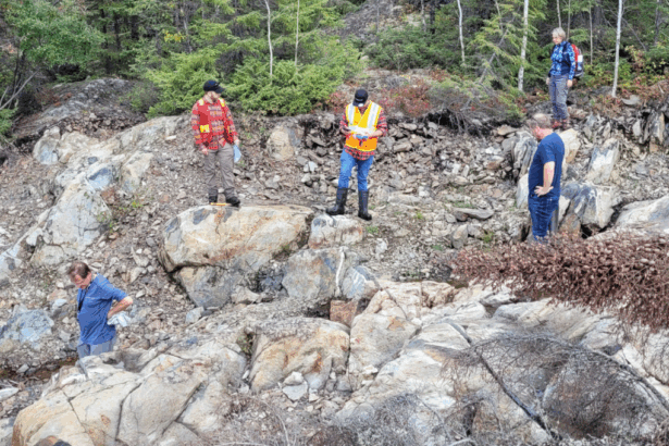 Onyx Gold intercepta 91 metros de 1,8 g/t de oro, incluidos 17 metros de 5,3 g/t de oro en el primer paso en Argus North Discovery, Proyecto Munro-Creesus