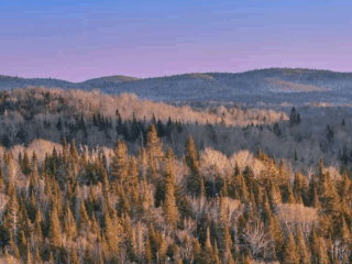 Canada: Abitibi Metals reanuda el programa de perforación de la Fase 3 (17.500 m) y mejora la eficiencia operativa