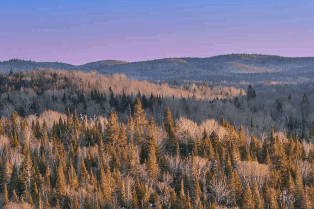 Canada: Abitibi Metals reanuda el programa de perforación de la Fase 3 (17.500 m) y mejora la eficiencia operativa