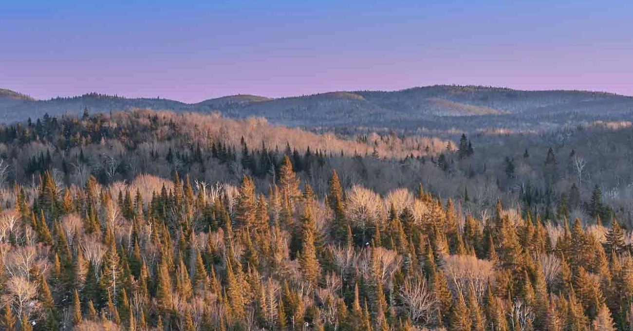 Canada: Abitibi Metals reanuda el programa de perforación de la Fase 3 (17.500 m) y mejora la eficiencia operativa