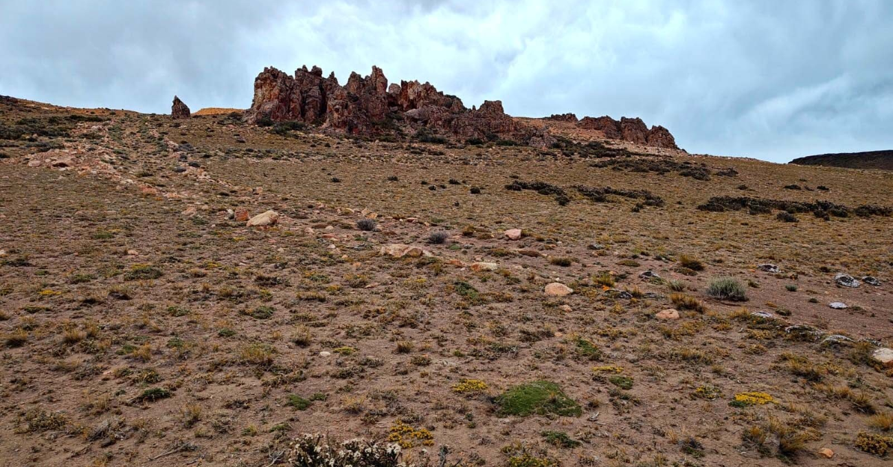 Argentina: Astra Exploration intercepta 199,3 g/t de oro y 228 g/t de plata a lo largo de 0,6 metros y múltiples vetas de alta ley en La Manchuria