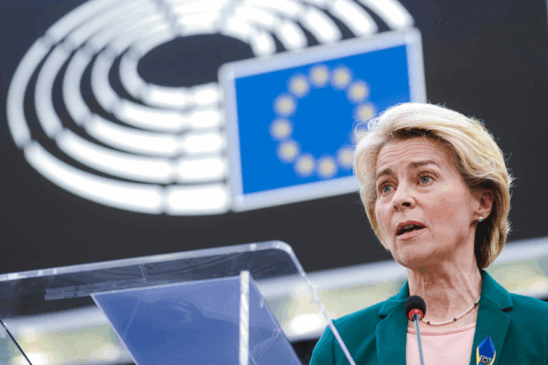 La Unión Europea busca acceso a tierras raras en cumbre con China