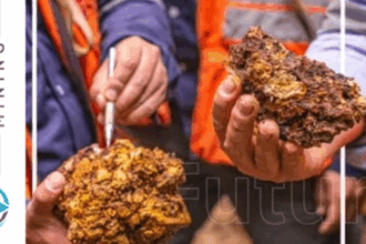 Colombia: Collective Mining Ltd. gana el 100% de la licencia minera de Guayabales al acelerar los términos del acuerdo