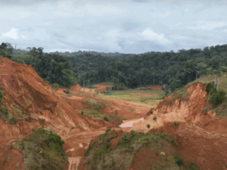 Surinam: Founders Metals se expande a Lower Antino y proporciona una actualización de exploración de mitad de año