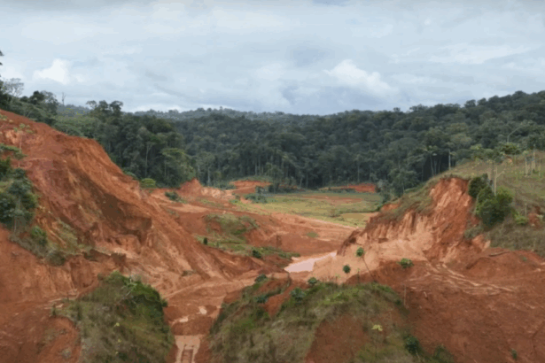 Surinam: Founders Metals se expande a Lower Antino y proporciona una actualización de exploración de mitad de año