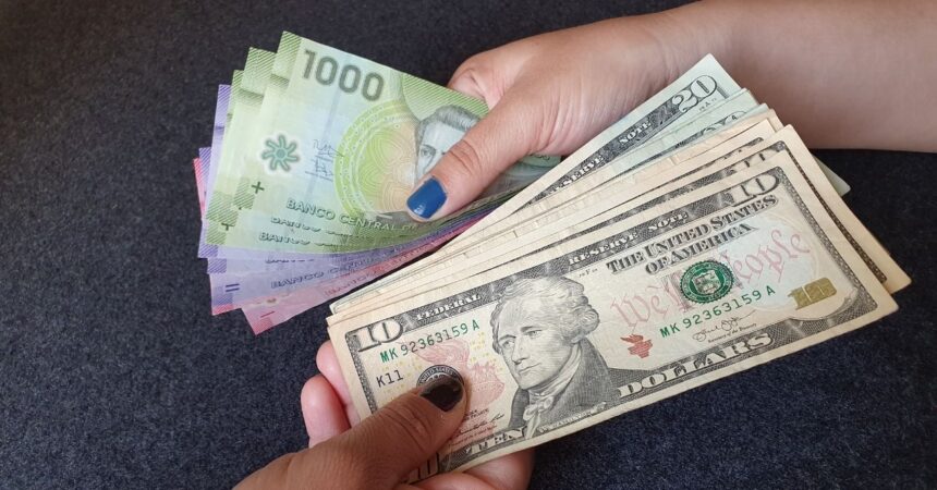 Consulta con tu RUT si recibes el bono de $58.000 que entrega el IPS en mayo