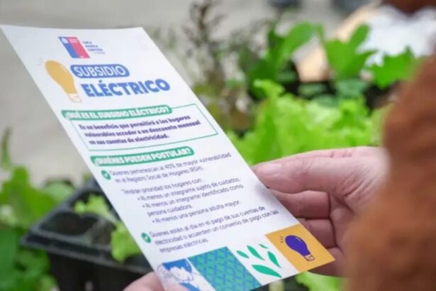 Tercer Subsidio Eléctrico: cómo postular y quiénes lo recibirán automáticamente