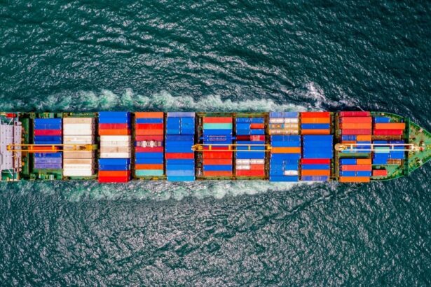 Chile lidera exportaciones globales en 24 productos durante 2024