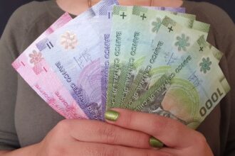 Bono Invierno 2025: Cómo saber si recibes los $81.257 destinados a pensionados