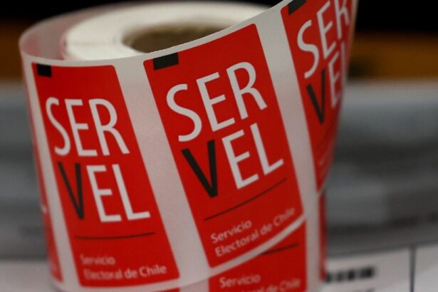 ¿Eres vocal de mesa en las primarias del 29 de junio? Consulta aquí y conoce cómo excusarte