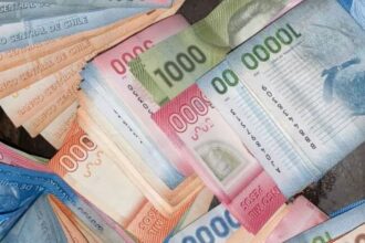 Consulta con tu RUT si accedes al bono automático de $73.000