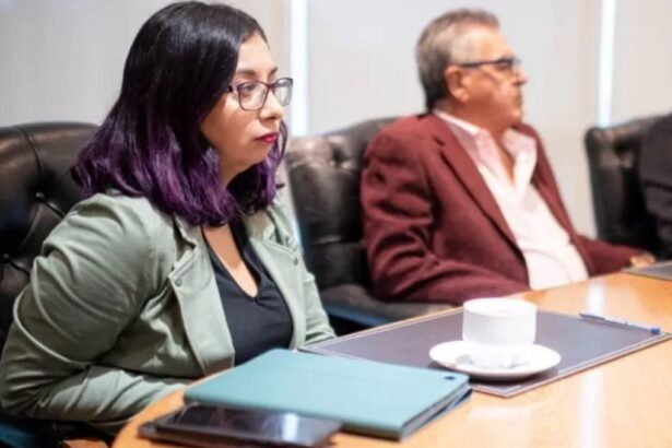 Renuncia en la Seremi de Minería de Antofagasta tras polémica por licencias médicas prolongadas