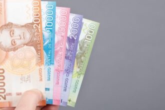 Consulta con tu RUT si accedes al beneficio de hasta $58 mil mensuales