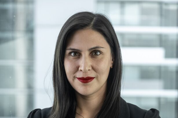 Fallo a favor de proyecto Dominga:  ¿Cómo recuperar la confianza institucional?  