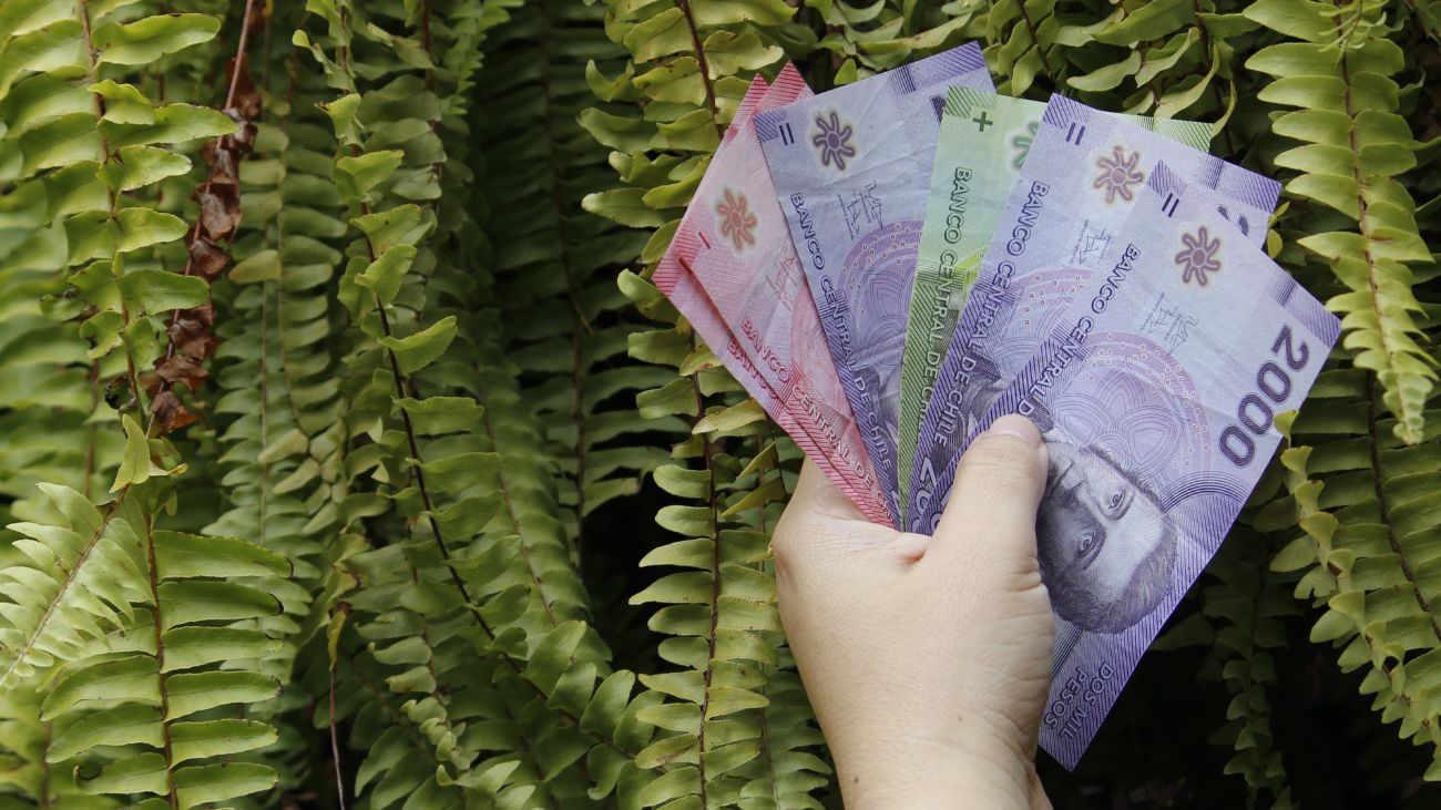 Salario Mínimo de Docentes en 2025: Incremento Significativo a $936.585 para Jornadas de 44 Horas