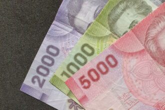 Programa de Apoyo Económico para Cuidadores de Personas con Discapacidad Severa: Requisitos y Montos Detallados