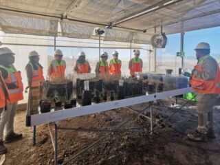 Avances en Restauración Ecológica en Salar de Atacama: 336 Especies Vegetales y Vínculo Comunitario Refuerzan la Minería Sostenible