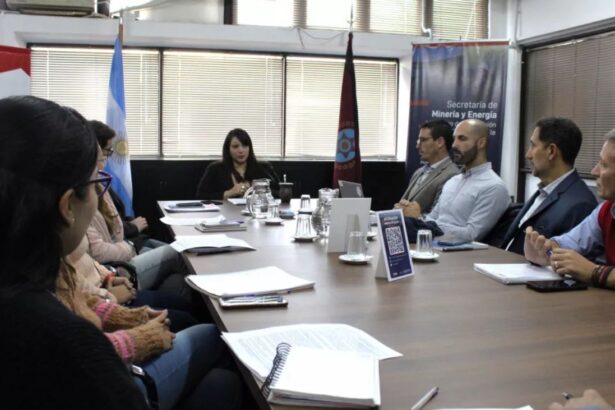 Avanza Proyecto Rincón Litio en Argentina: Inversión de $2.700 Millones para Producción de Litio