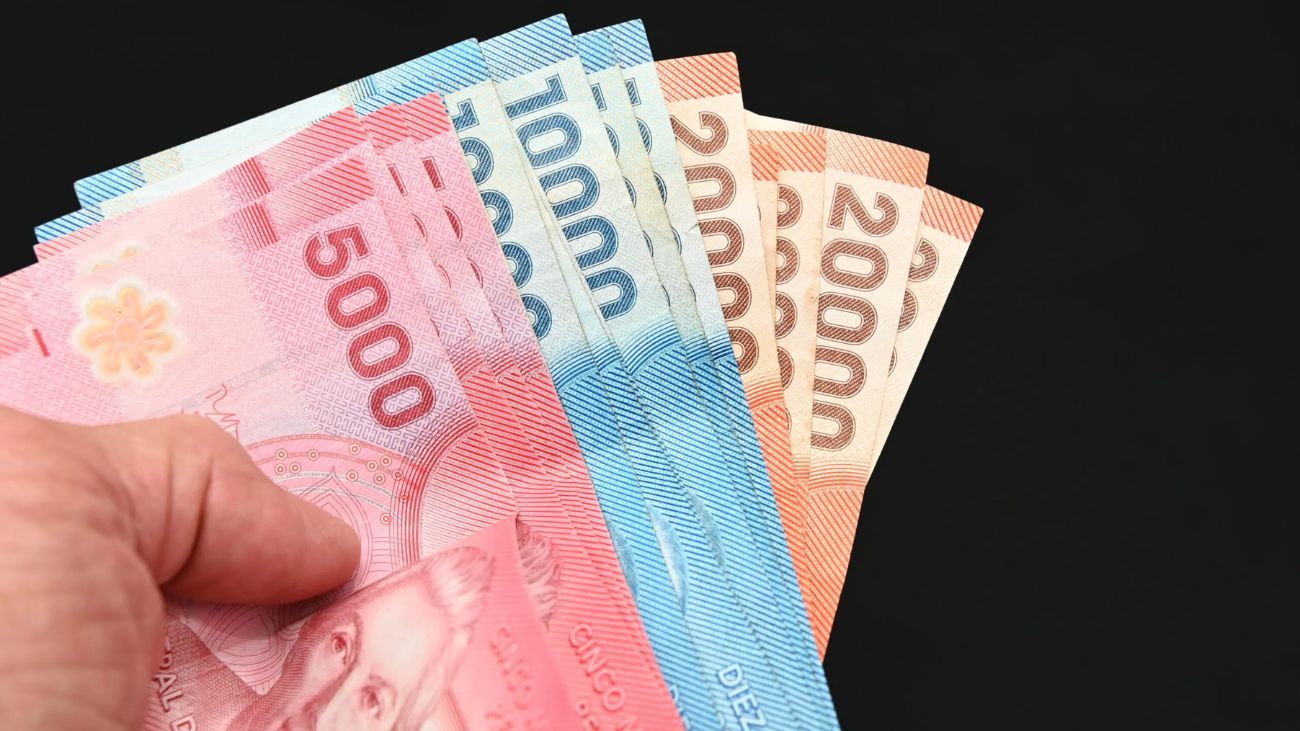 Guía Completa para el Retiro Total de Fondos del Seguro de Cesantía: Pasos y Requisitos 2025