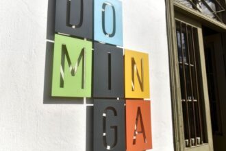 Tribunal Constitucional respalda a Andes Iron en el proyecto Dominga, reafirmándose contra la obstrucción gubernamental
