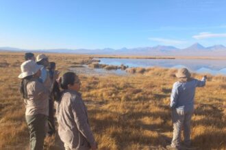 Albemarle impulsa gobernanza y capacitación técnica en el Salar de Atacama para fortalecer la gestión del litio y el medio ambiente