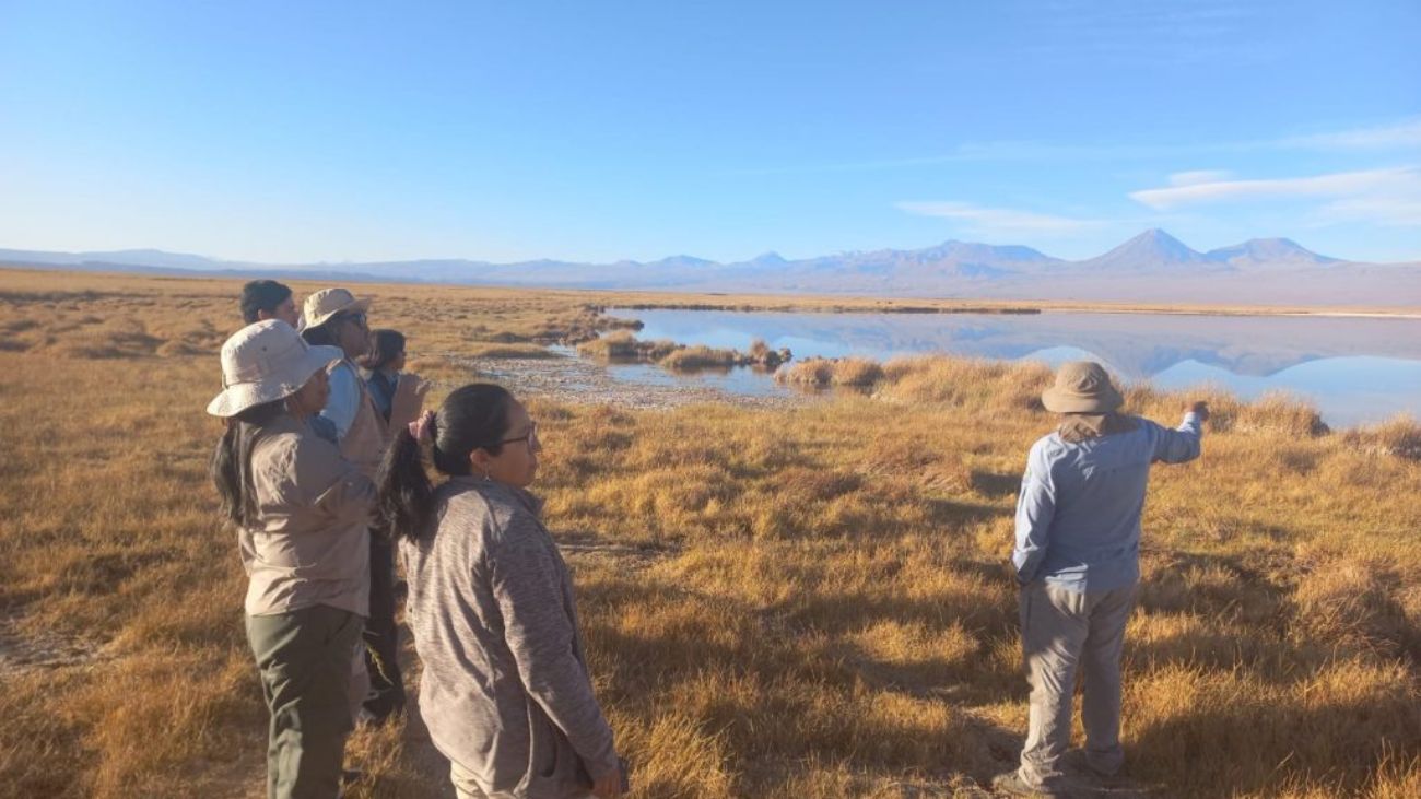 Albemarle impulsa gobernanza y capacitación técnica en el Salar de Atacama para fortalecer la gestión del litio y el medio ambiente