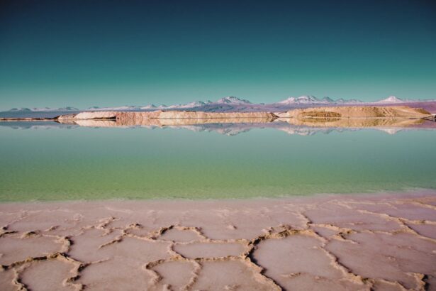 Encuesta Cadem revela 67% de apoyo al acuerdo de producción de litio en el Salar de Atacama, clave para la economía y liderazgo global de Chile en 2025